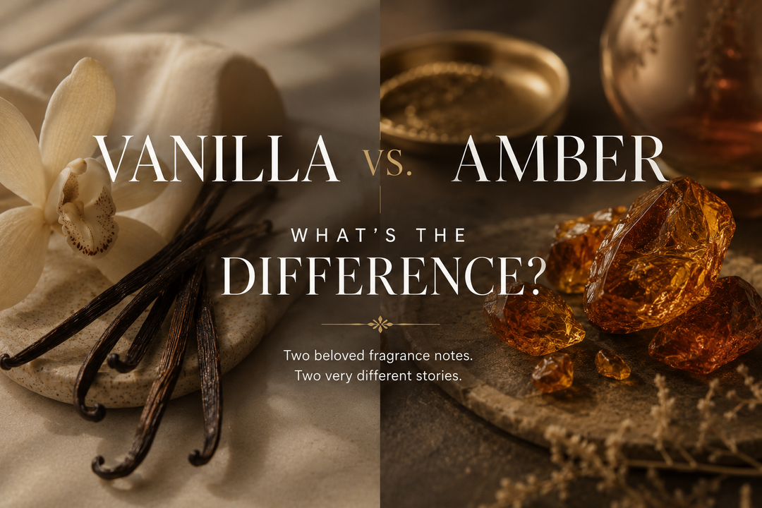 Vanilla vs. Amber: What’s the Difference?
