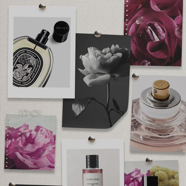 Most Complimented Perfumes of 2026 | Fragrance Trends